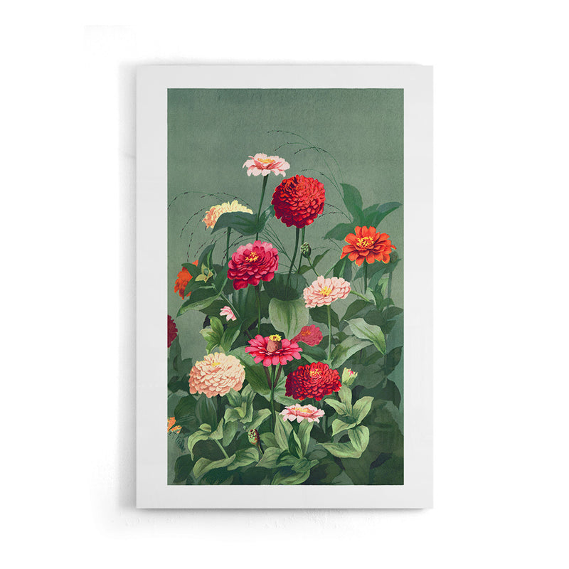 botanische poster toont een prachtig veld van bloeiende zinnia’s in rijke tinten rood, roze, oranje en crème, omlijst door weelderig groen blad op een zachte groene achtergrond.