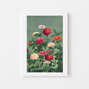 botanische poster toont een prachtig veld van bloeiende zinnia’s in rijke tinten rood, roze, oranje en crème, omlijst door weelderig groen blad op een zachte groene achtergrond.