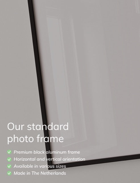 Bauhaus Frankfurt 1919 Groen