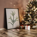 Vintage Japanese Cedar