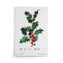 Vintage Holly Branch