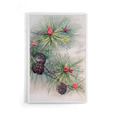 Dennenappels in Boom