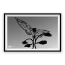 Burning Man - Butterfly Structure