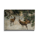 Drie Elanden in de Sneeuw