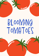 Blooming tomatoes