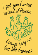 I got you cactus instead of flowers