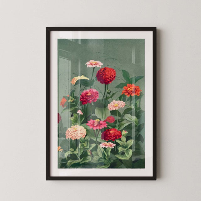 botanische poster toont een prachtig veld van bloeiende zinnia’s in rijke tinten rood, roze, oranje en crème, omlijst door weelderig groen blad op een zachte groene achtergrond.