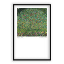 GustavKlimt-AppleTree-Poster-Alluminium Lijst-Walljar