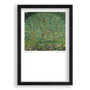 GustavKlimt-AppleTree-Poster-Zwart Eikenhoutenlijst-Walljar