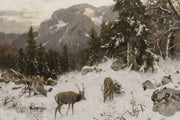 Due alci nella natura