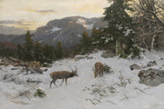 Due alci nella neve