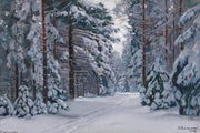 Sentiero nel bosco sotto la neve