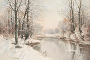 Bosque cubierto de nieve