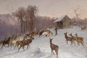 Deer in the Snow