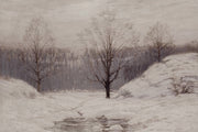 Zwei Bäume im Schnee