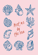 Blauwe schelpen, koraal en een zeester rond rode Meet me by the sea letters op roze.