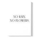 Pas de pluie. Pas de fleurs.