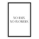 Pas de pluie. Pas de fleurs.