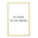 Pas de pluie. Pas de fleurs.