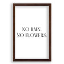 Pas de pluie. Pas de fleurs.