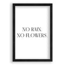 Pas de pluie. Pas de fleurs.