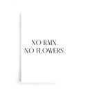 Pas de pluie. Pas de fleurs.