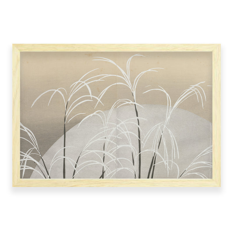 Kamisaka Sekka - Pampas Grass in Moonlight