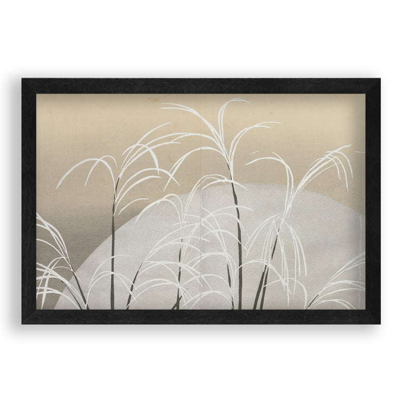 Kamisaka Sekka - Pampas Grass in Moonlight