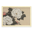 Kamisaka Sekka - Peonies