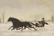 Caballos tirando de un carro
