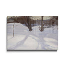 L'ombre des arbres dans la neige