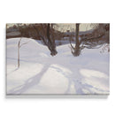 L'ombre des arbres dans la neige