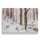 Neige dans la forêt