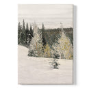 Snowy landscape with pine trees