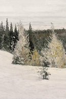 Snowy landscape with pine trees