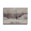 Deux arbres dans la neige