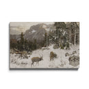 Deux élans dans la nature