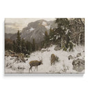 Deux élans dans la nature