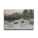 Deux élans dans la neige