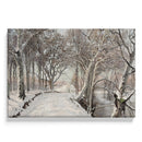 Wandeling door het Bos