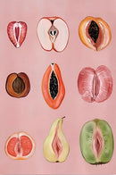 Poster van illustratie met zomer fruit. 