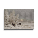 Coucher de soleil en hiver