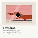 Retro Dachshund Playful Pink acrylglas materiaalvoorbeeld