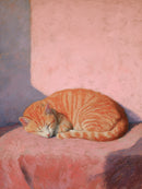 Slapende oranje kat op een roze stoel