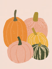 Vijf pompoenen in oranje, roze, geel en donkergroen vormen een warme herfstcompositie op een lichte achtergrond.