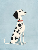 Witte dalmatiër met zwarte stippen en rode halsband op lichtblauw