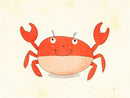 Een vrolijke rode krab met opgeheven scharen, een lichte buik en grote ogen op een zachte crèmekleurige achtergrond.