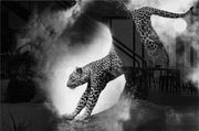 Crouching Panther - Walljar
