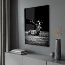 Sitting Deer - Walljar
