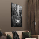 Close up Ox - Walljar